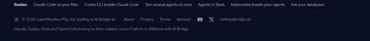 AI Bridge footer component