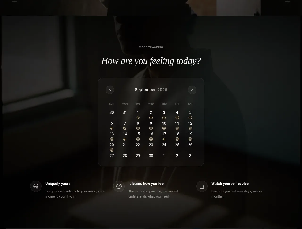 Lull tabs & steps component