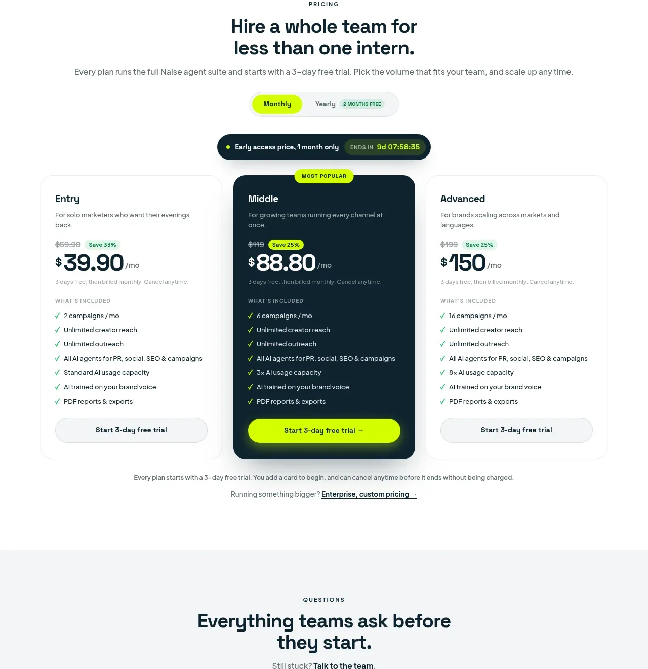 Naise AI pricing table component