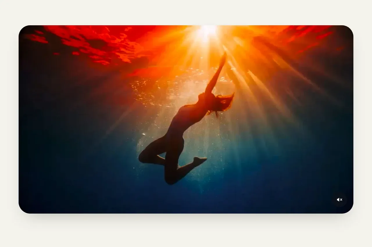Subscrr gallery component