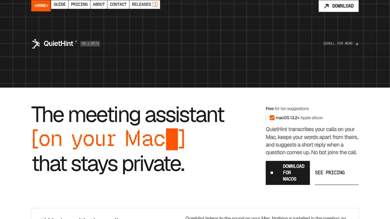 QuietHint® · Landing page · Minimal · Brutalist · Monochrome screenshot